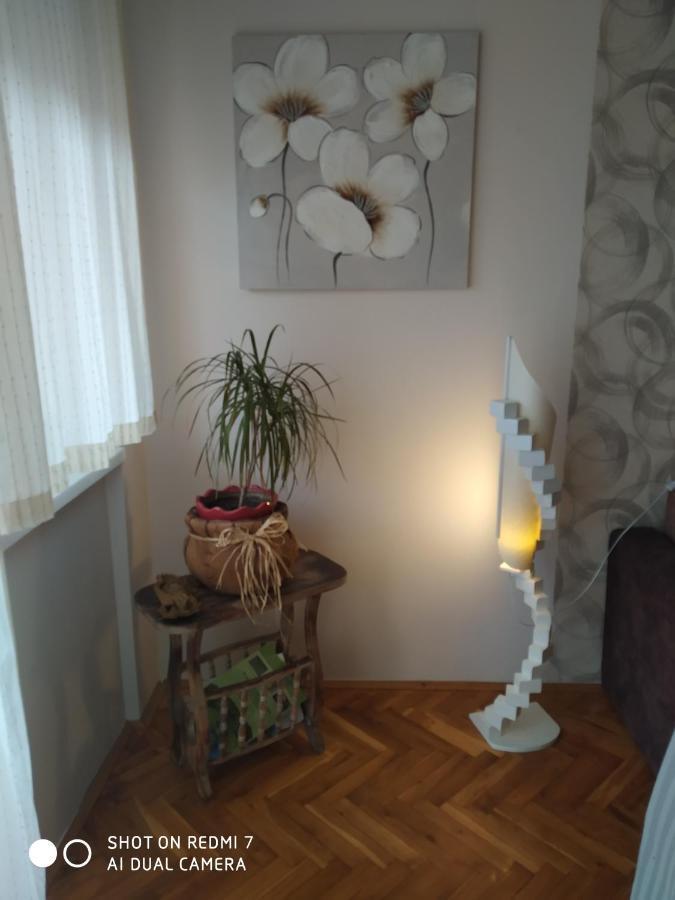 Apartman Ivan Vrdnik Bagian luar foto