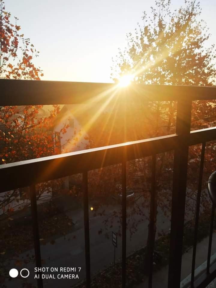 Apartman Ivan Vrdnik Bagian luar foto