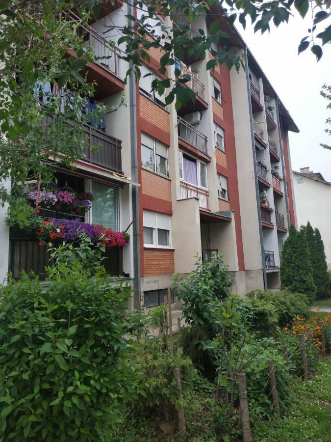 Apartman Ivan Vrdnik Bagian luar foto