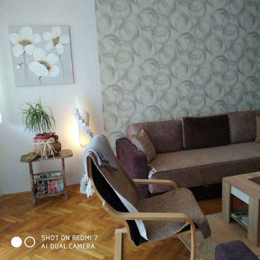 Apartman Ivan Vrdnik Bagian luar foto