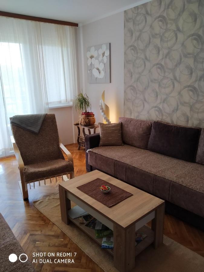 Apartman Ivan Vrdnik Bagian luar foto