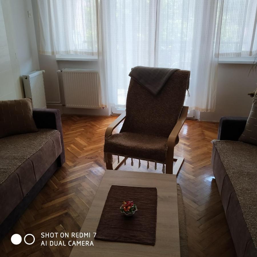 Apartman Ivan Vrdnik Bagian luar foto